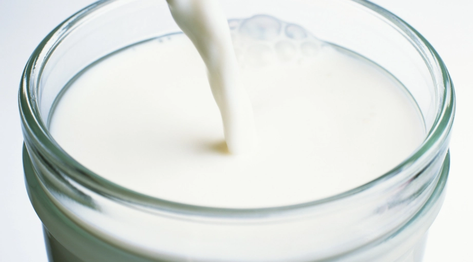 牛奶過敏 牛奶過敏