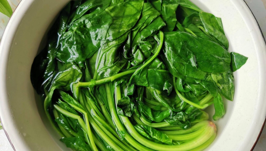 減大腿內側脂肪