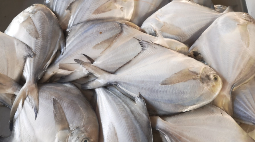 冷凍魚退冰技巧