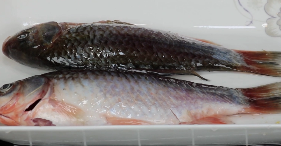 魚退冰可以泡水嗎？破解冷凍魚解凍迷思與3大正確方法