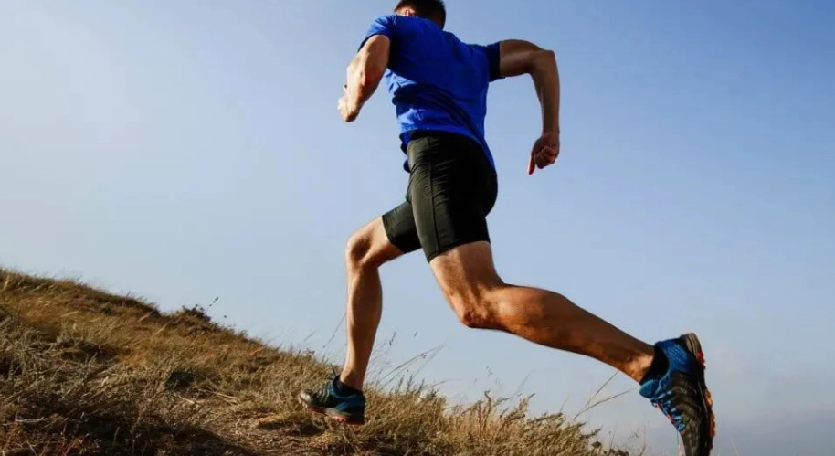 瘦大腿內側多久見效？3週運動計畫與飲食關鍵全解析