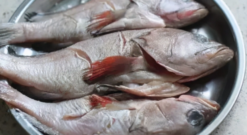 冷凍魚退冰時間全攻略：安全解凍的關鍵技巧與常見錯誤避免