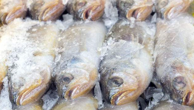 冷凍魚退冰技巧