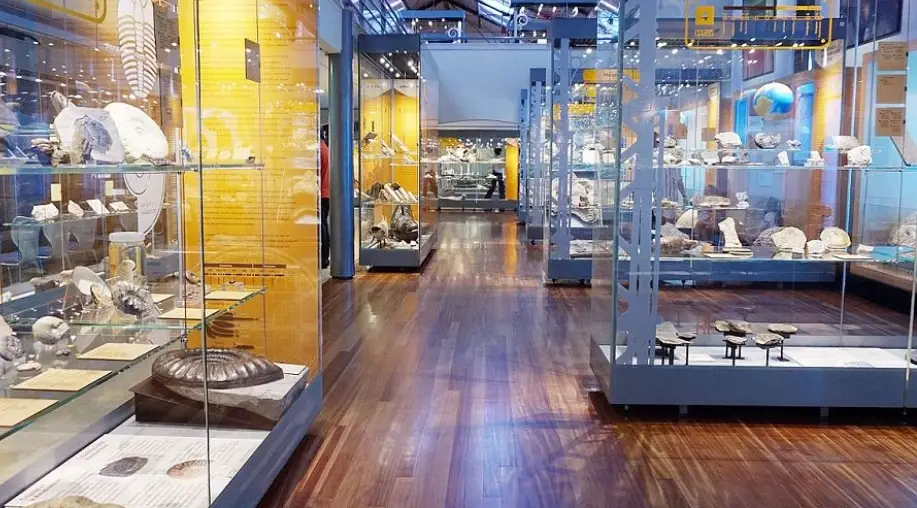 台中輪椅友善景點 台中輪椅友善景點