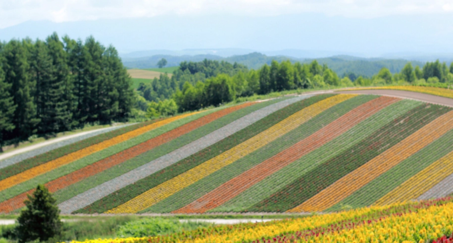 北海道10天行程 北海道10天行程