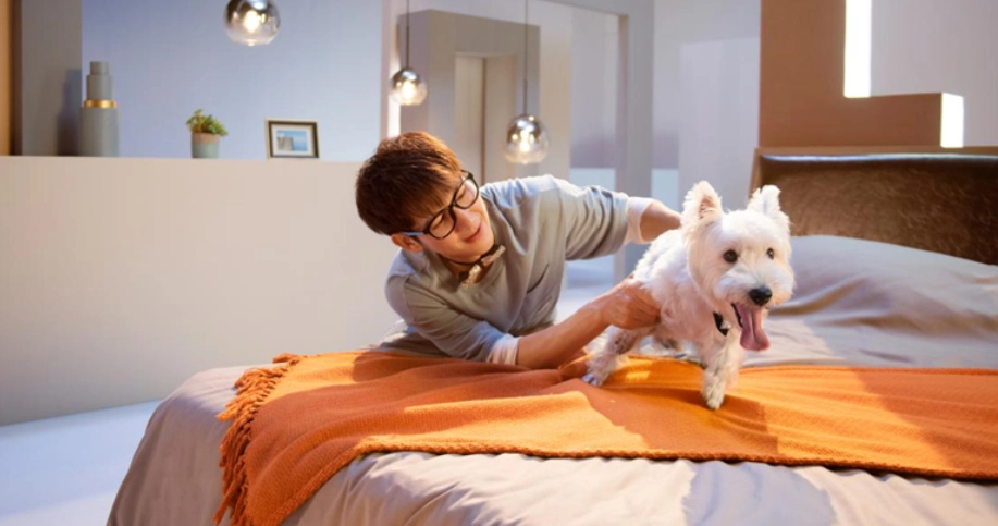 帶寵物住宿苗栗