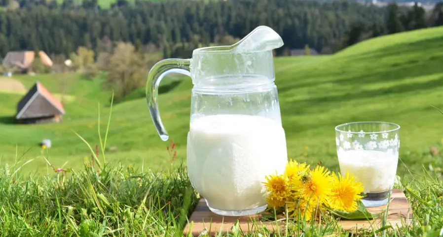 喝到壞掉的牛奶怎麼辦？5步驟緊急處理與長期預防指南