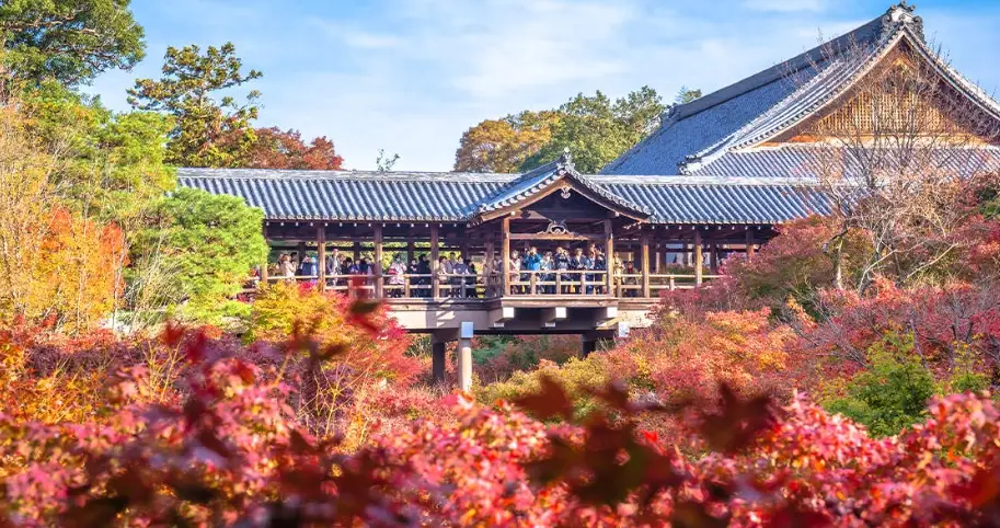 京都深度旅遊 京都深度旅遊