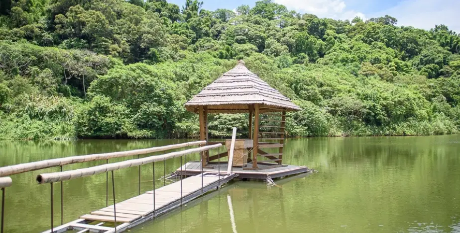 桃園私房景點全攻略：在地人帶路，避開人潮的秘境之旅