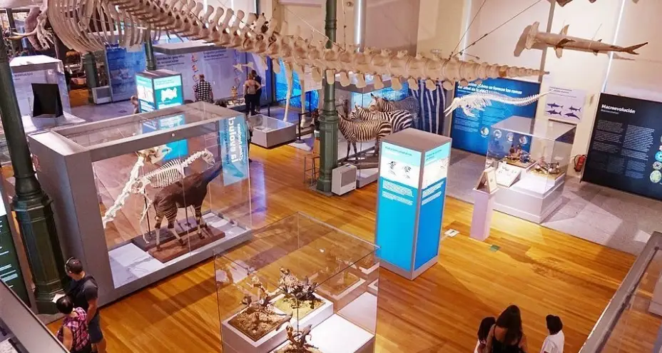 台中無障礙景點推薦：完整指南與實用資訊，讓旅遊更輕鬆