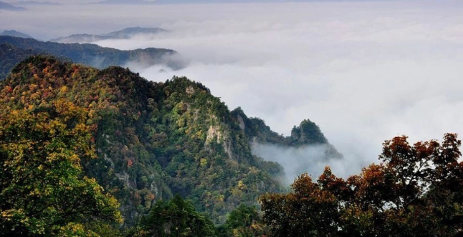 台灣百岳全攻略：從新手到高手的登山指南與安全秘訣