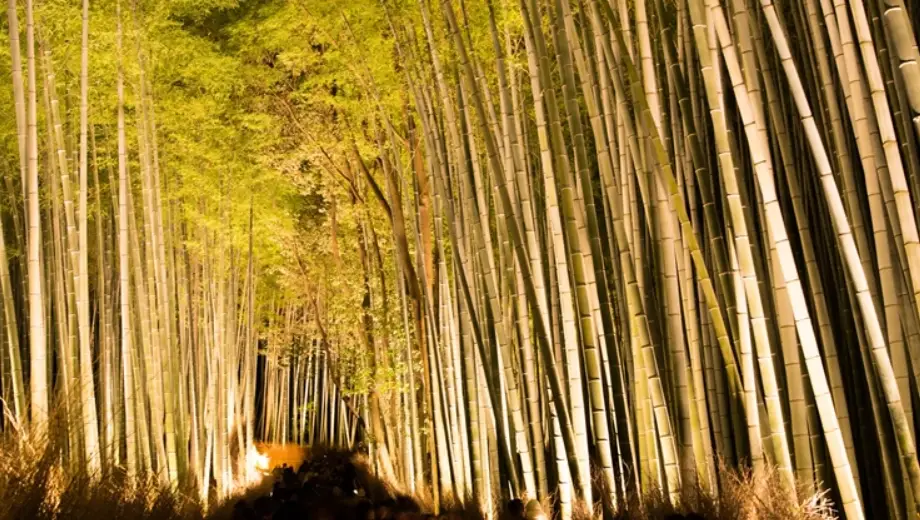 大阪旅遊攻略 大阪旅遊攻略