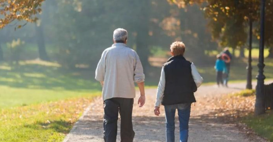 規律運動定義全解析：頻率、強度與堅持的科學指南