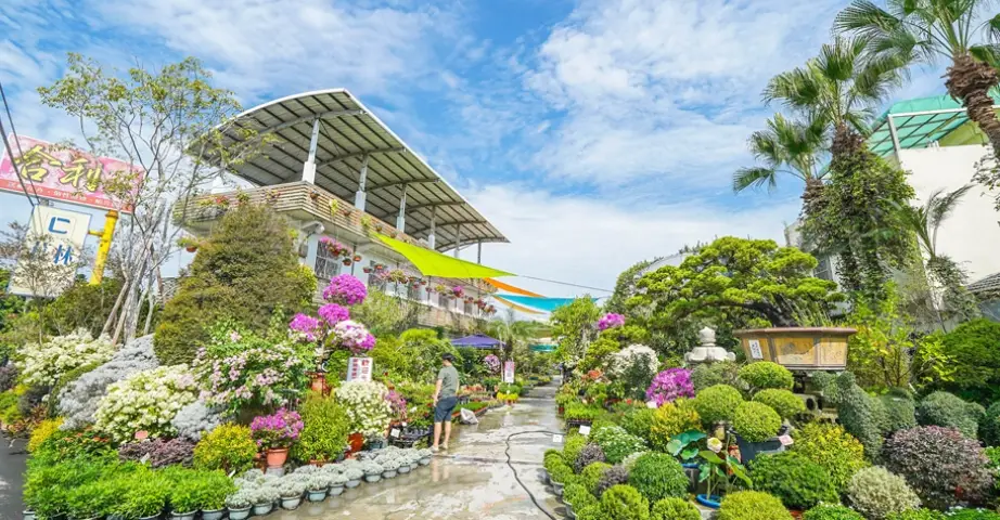 彰化秘境 彰化秘境