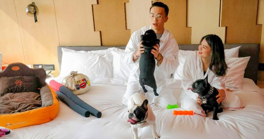 台灣寵物住宿 台灣寵物住宿