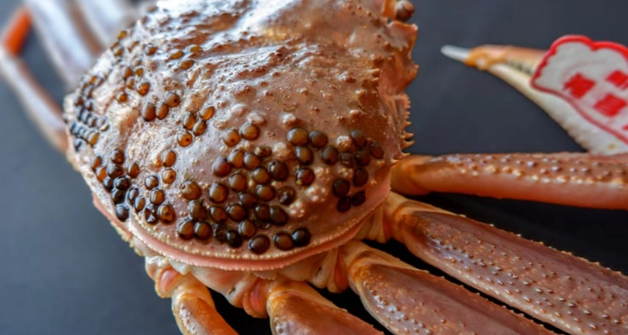 螃蟹自助餐 螃蟹自助餐