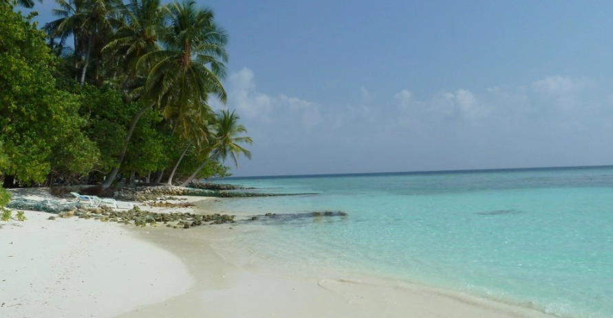 馬爾代夫自由行費用 馬爾代夫自由行費用