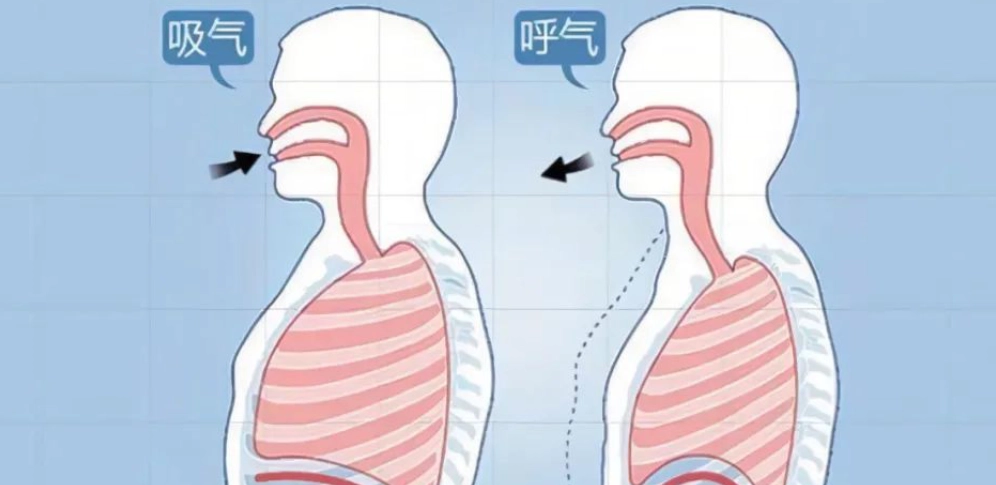 腹式呼吸練習 腹式呼吸練習