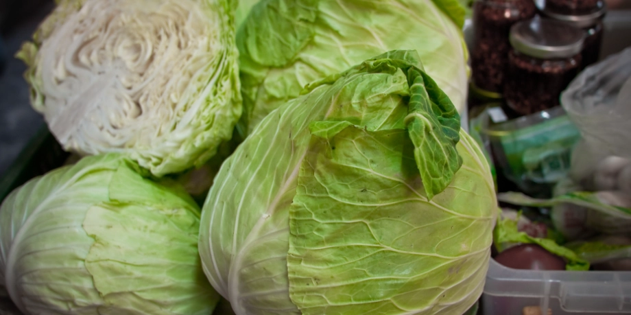 洗過的高麗菜保存