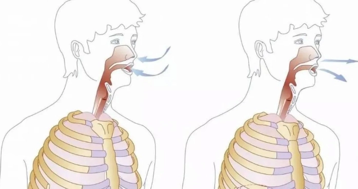 呼吸姿勢矯正 呼吸姿勢矯正