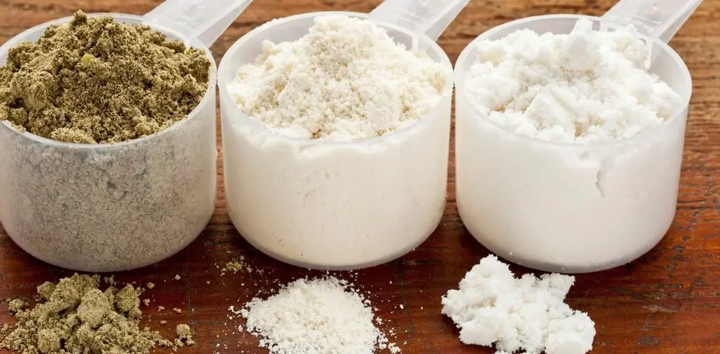 健身蛋白粉用法