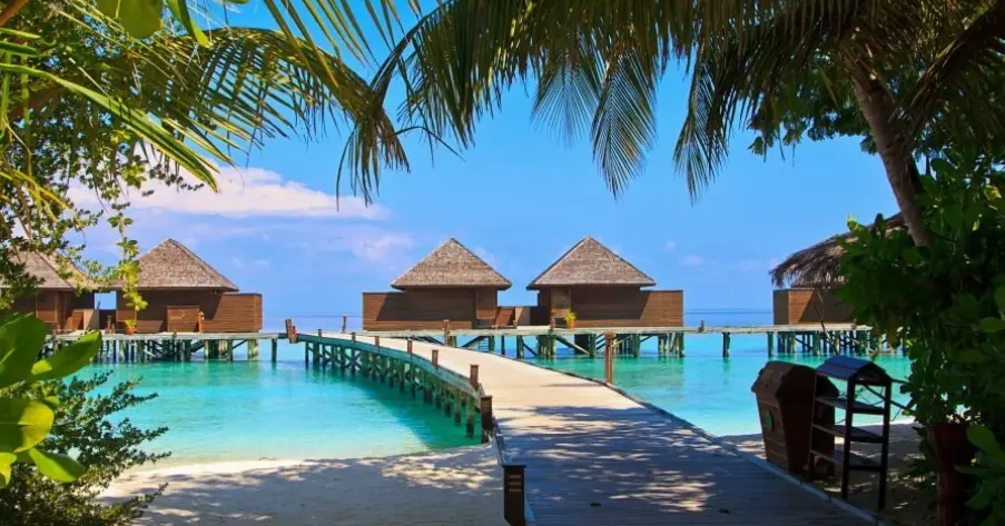 馬爾代夫自由行費用 馬爾代夫自由行費用