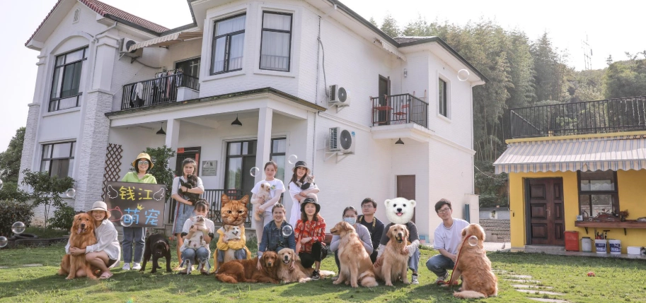 帶狗住宿雲林 帶狗住宿雲林