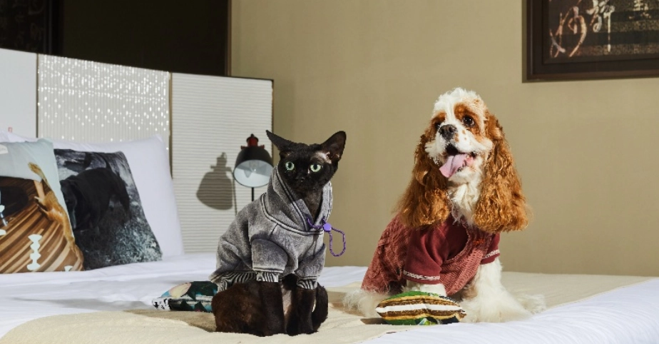 帶狗住宿雲林 帶狗住宿雲林