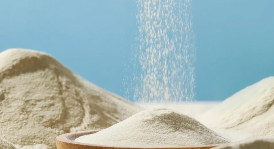 健身蛋白粉用法