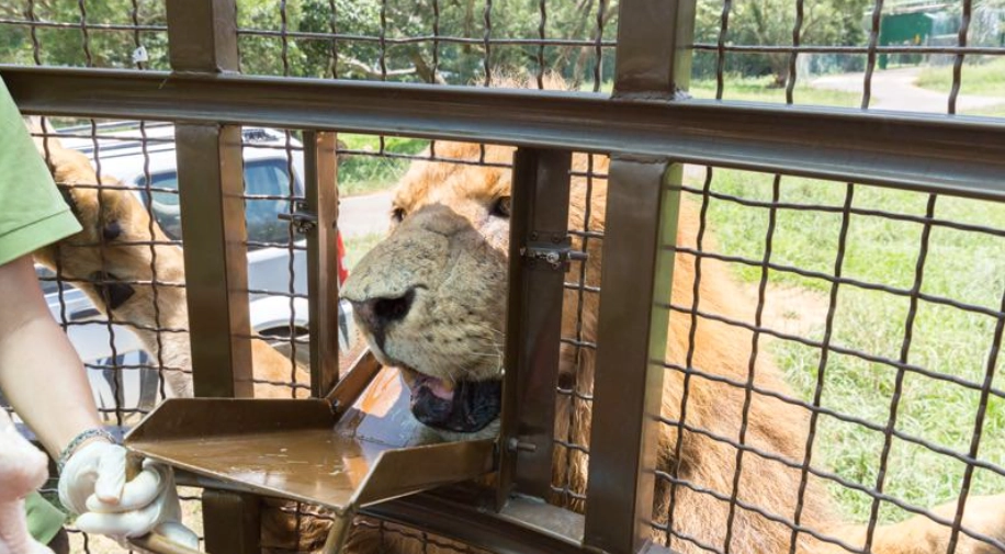 六福莊生態旅遊