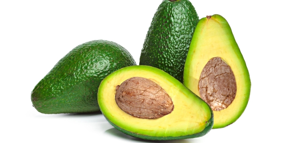 酪梨 每日 攝取量 酪梨 每日 攝取量