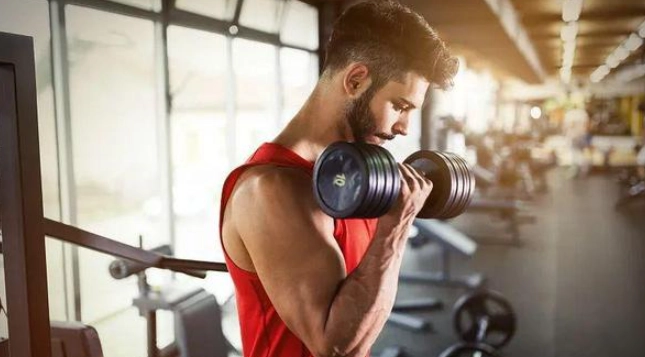 前三角肌訓練全攻略：打造飽滿肩型，避免新手常見錯誤