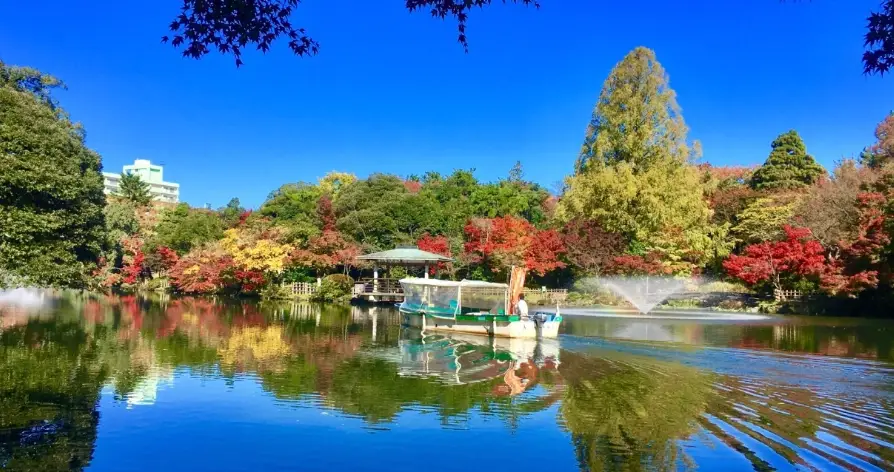 富山旅遊 富山旅遊