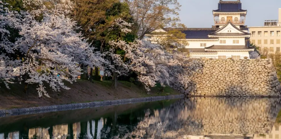 富山市景點全攻略：交通、門票、必訪景點一次掌握