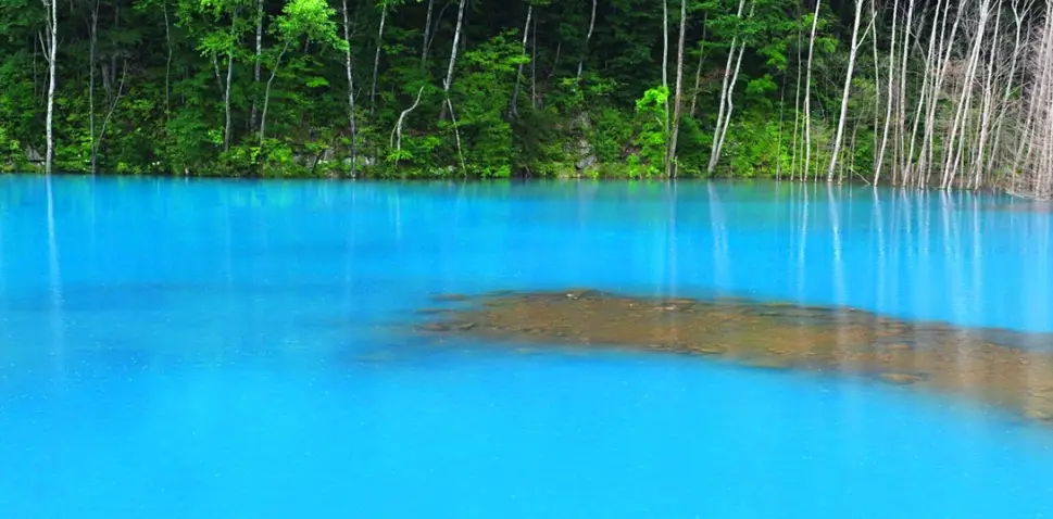 北海道自駕攻略