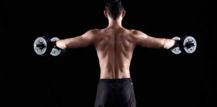 肩部訓練 肩部訓練