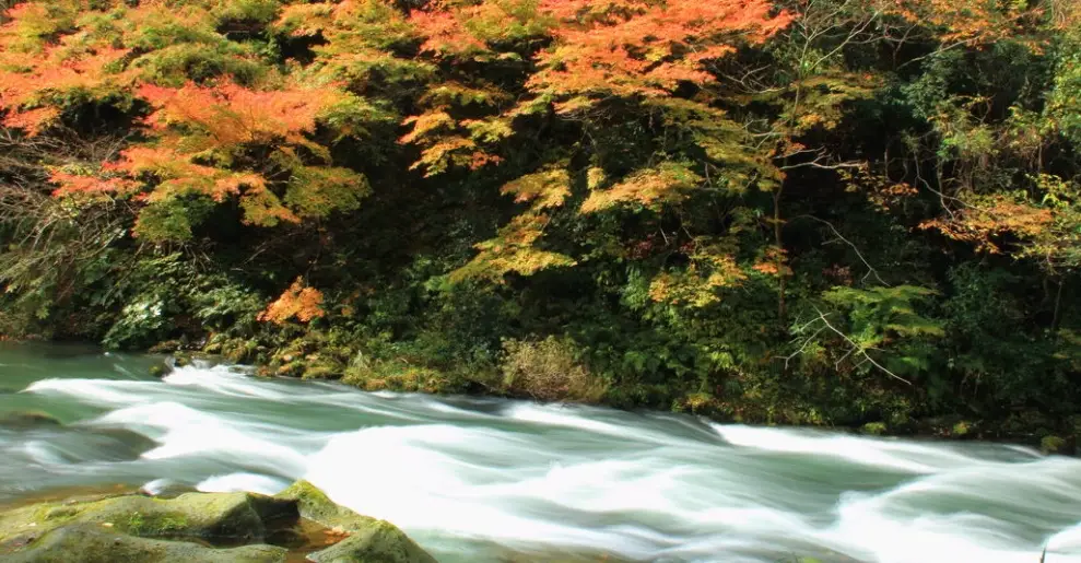 小松旅遊攻略 小松旅遊攻略
