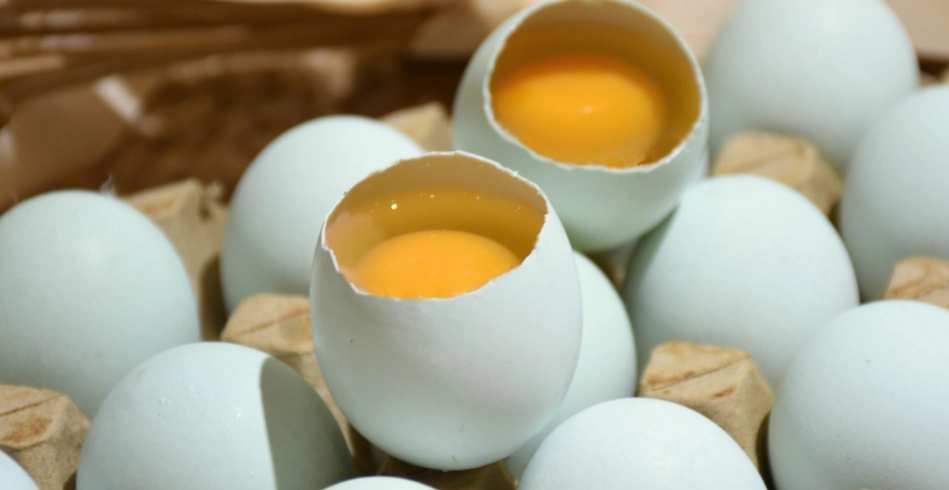 烏骨雞蛋怎麼吃