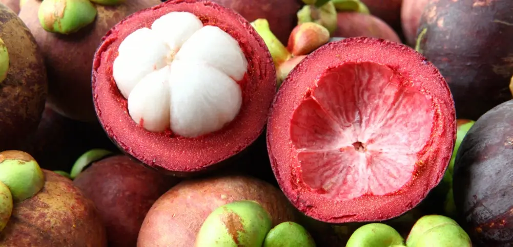 山竹健康影響 山竹健康影響