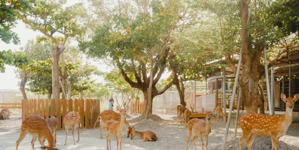 墾丁兩天一夜陸上行程