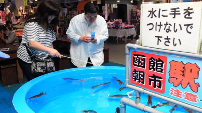 釣烏賊 體驗