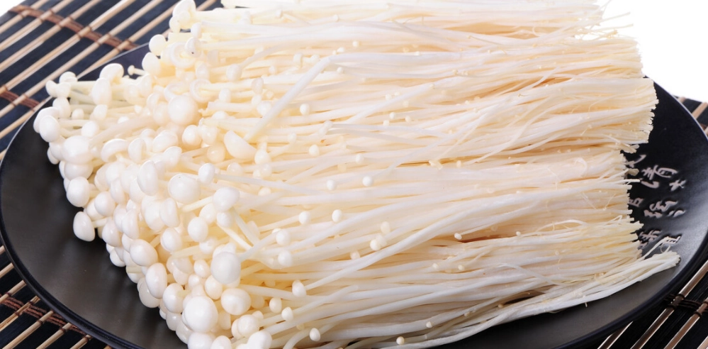 金針料理食譜 金針料理食譜