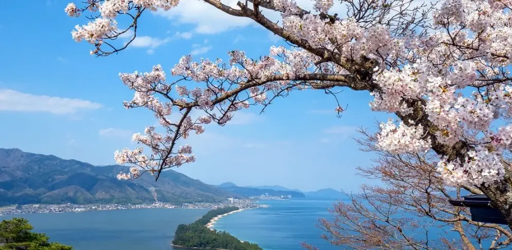 大阪到海之京都一日遊攻略：天橋立、伊根舟屋交通景點全解析