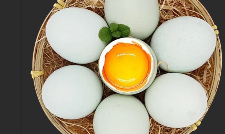 烏骨雞蛋營養