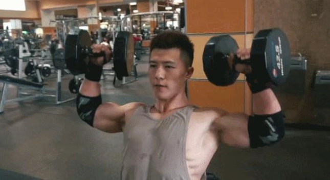 三角肌前束 三角肌前束