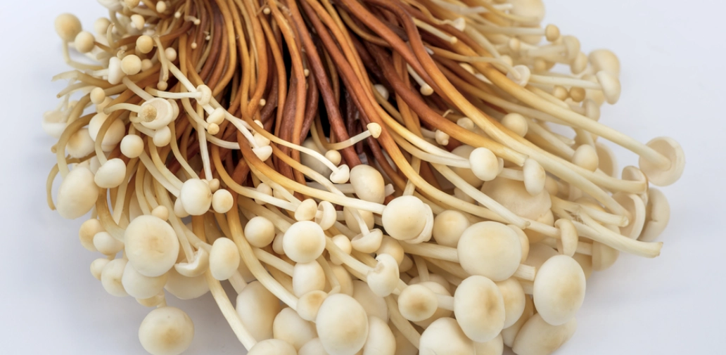 金針清洗 金針清洗