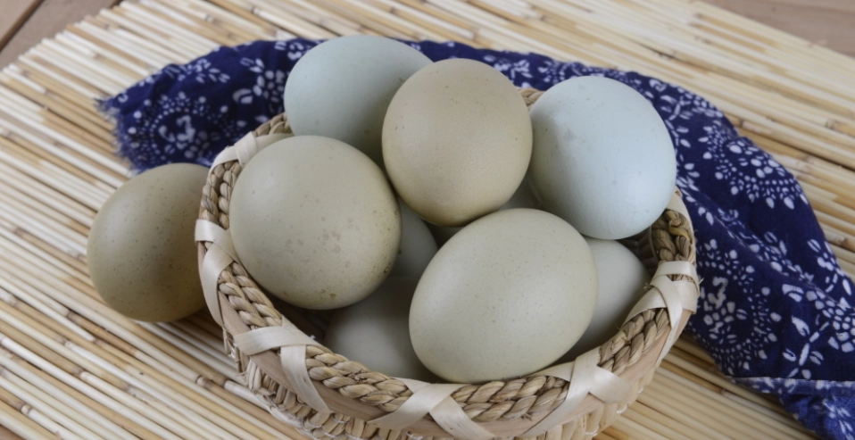 烏骨雞蛋功效全解析：營養價值、食用方法與購買指南