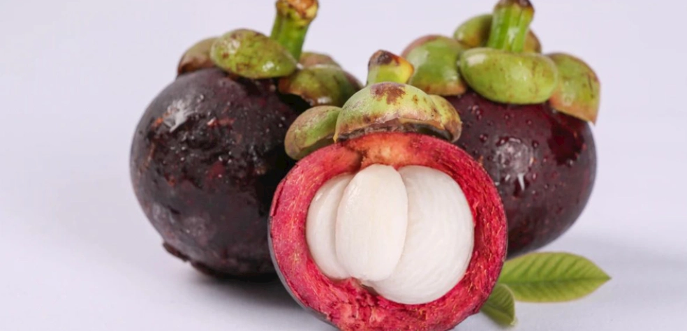 山竹空腹食用 山竹空腹食用