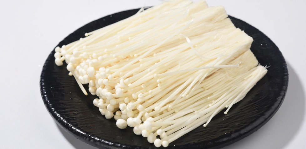 金針清洗 金針清洗