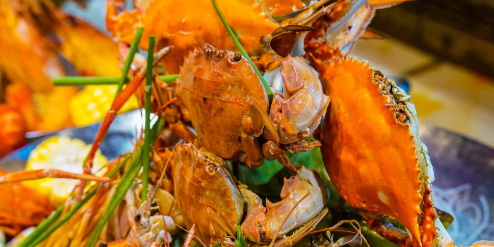 大阪京都奈良行程